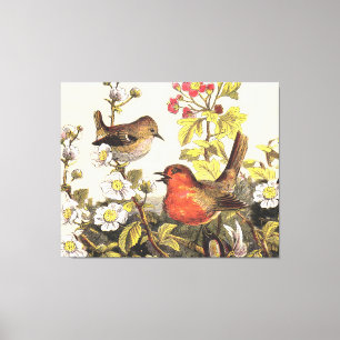 Spring Robin Birds Red Birding Canvas Afdruk