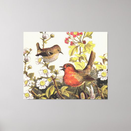 Spring Robin Birds Red Birding Canvas Afdruk (Voorkant)