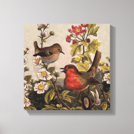Spring Robin Birds Red Birding Canvas Afdruk (Voorkant)