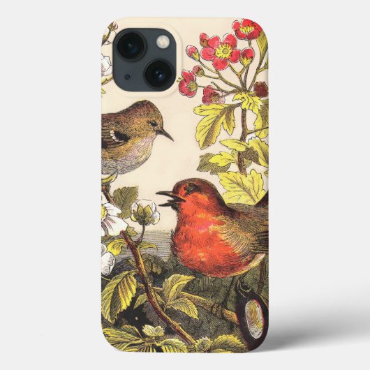 Spring Robin Birds Red Birding Case-Mate iPhone Case (Achterkant)