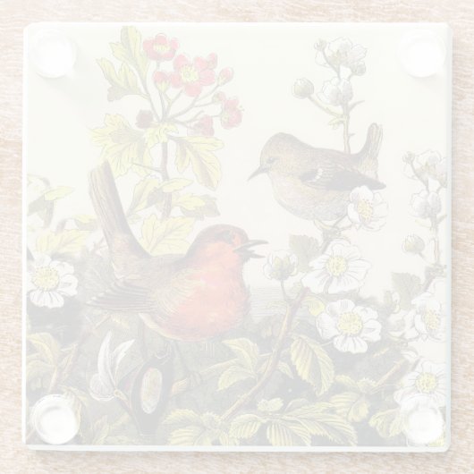Spring Robin Birds Red Birding Glazen Onderzetter (Achterkant)