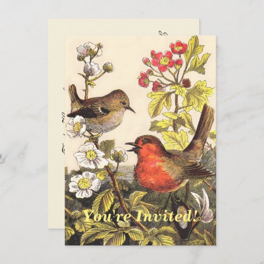 Spring Robin Birds Red Birding Kaart (Voorkant / Achterkant)