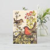 Spring Robin Birds Red Birding Kaart (Staand voorkant)