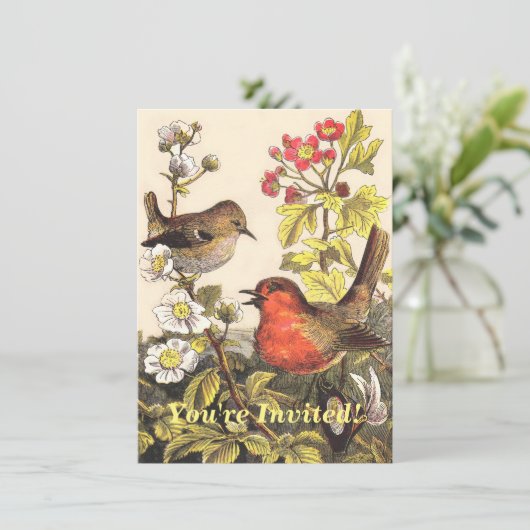 Spring Robin Birds Red Birding Kaart (Staand voorkant)