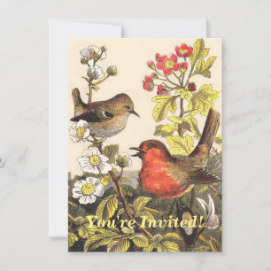 Spring Robin Birds Red Birding Kaart