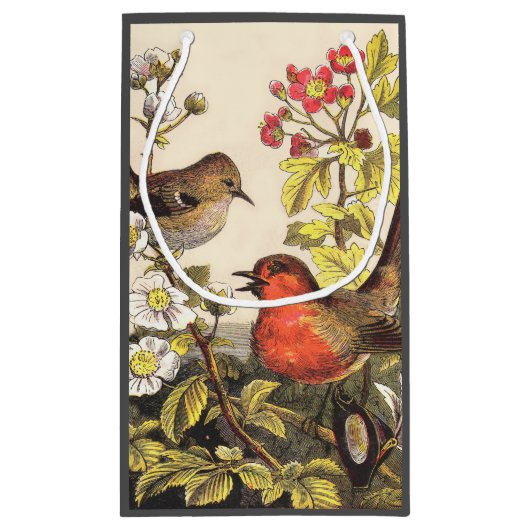 Spring Robin Birds Red Birding Klein Cadeauzakje (Achterkant)