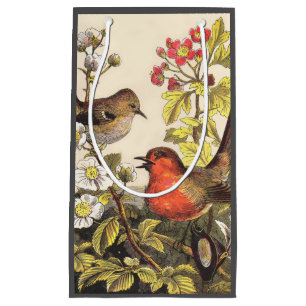 Spring Robin Birds Red Birding Klein Cadeauzakje