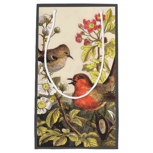 Spring Robin Birds Red Birding Klein Cadeauzakje (Voorkant)