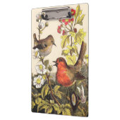 Spring Robin Birds Red Birding Klembord (Links)