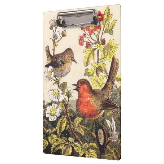 Spring Robin Birds Red Birding Klembord (Links)