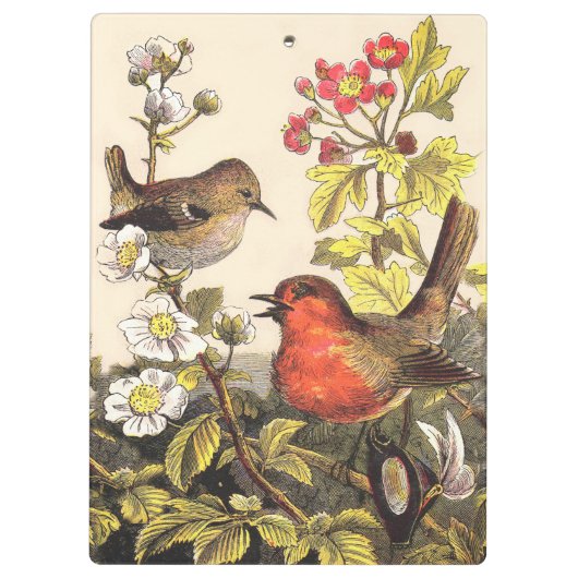 Spring Robin Birds Red Birding Klembord (Achterkant)