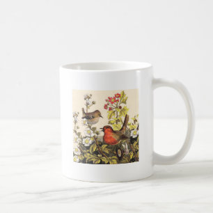 Spring Robin Birds Red Birding Koffiemok