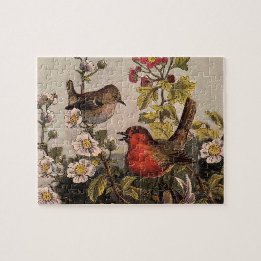 Spring Robin Birds Red Birding Legpuzzel (Horizontaal)