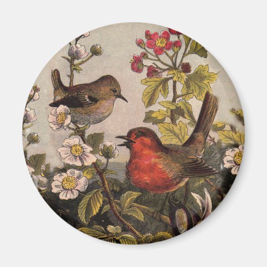 Spring Robin Birds Red Birding Magneet (Voorkant)