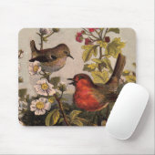 Spring Robin Birds Red Birding Muismat (Met muis)