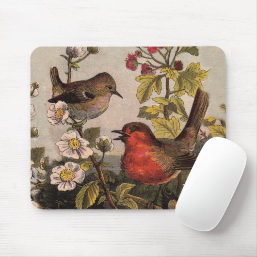 Spring Robin Birds Red Birding Muismat (Met muis)