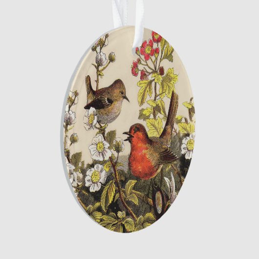 Spring Robin Birds Red Birding Ornament (voorkant)