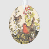Spring Robin Birds Red Birding Ornament (voorkant)