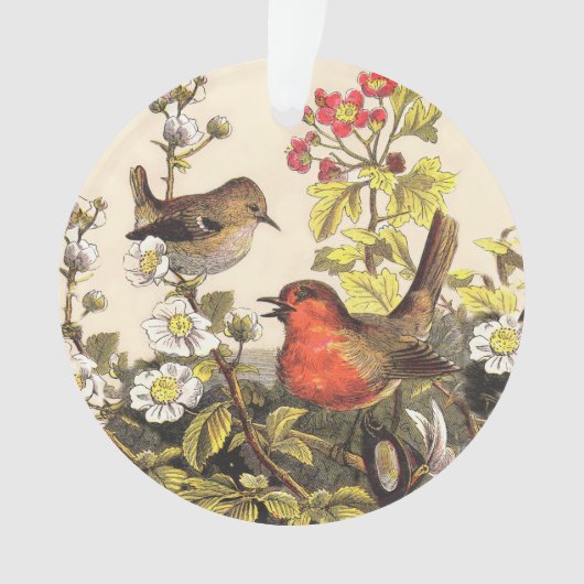 Spring Robin Birds Red Birding Ornament (voorkant)