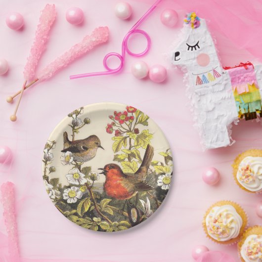 Spring Robin Birds Red Birding Papieren Bordje (Feest)