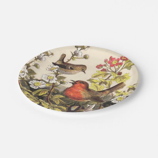 Spring Robin Birds Red Birding Papieren Bordje (Gekanteld)