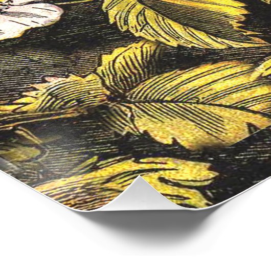 Spring Robin Birds Red Birding Poster (Hoek)