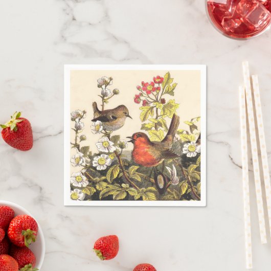 Spring Robin Birds Red Birding Servetten (Insitu)