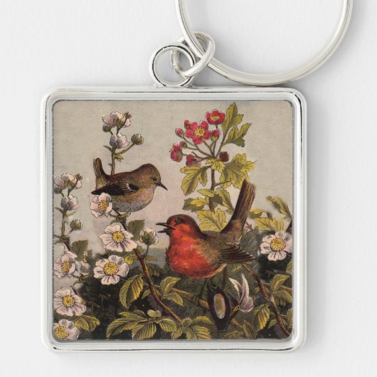 Spring Robin Birds Red Birding Sleutelhanger (Voorkant)