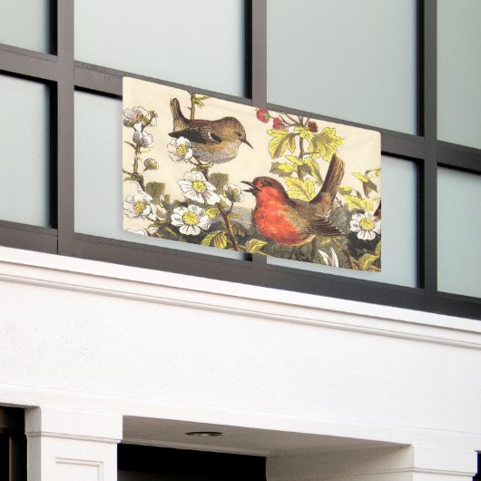 Spring Robin Birds Red Birding Spandoek (Buitenkant Gebouw)