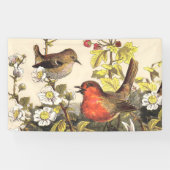Spring Robin Birds Red Birding Spandoek (Horizontaal)