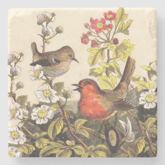 Spring Robin Birds Red Birding Stenen Onderzetter (Voorkant)