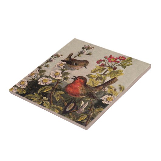 Spring Robin Birds Red Birding Tegeltje (Zijkant)