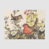 Spring Robin Birds Red Birding Tissuepapier (Voorkant)