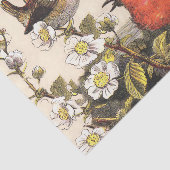 Spring Robin Birds Red Birding Tissuepapier (Detail)