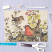 Spring Robin Birds Red Birding Tissuepapier (Craft)