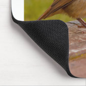Spring Robin Muismat (Hoek)