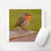 Spring Robin Muismat (Met muis)