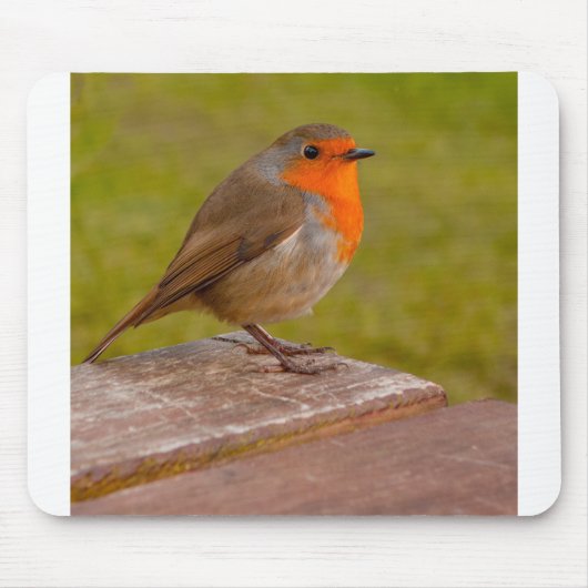 Spring Robin Muismat (Voorkant)