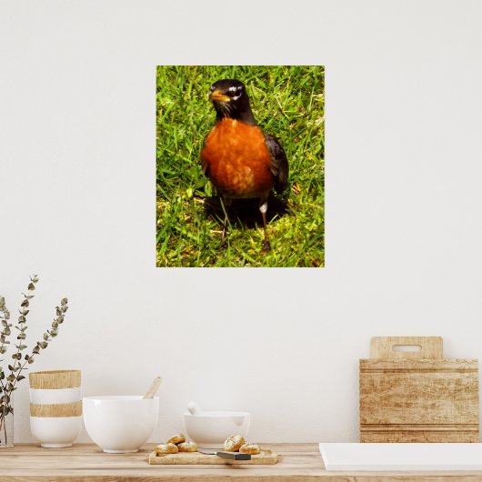 Spring Robin Poster (Keuken)