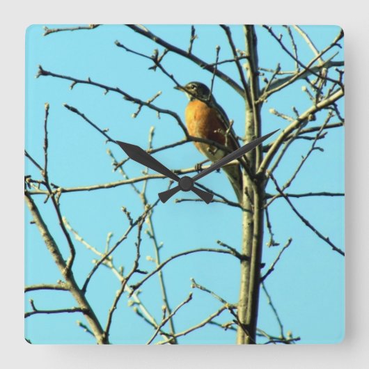 Spring Robin Vierkante Klok (Voorkant)