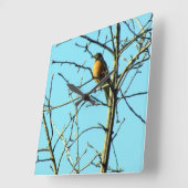 Spring Robin Vierkante Klok (Hoek)