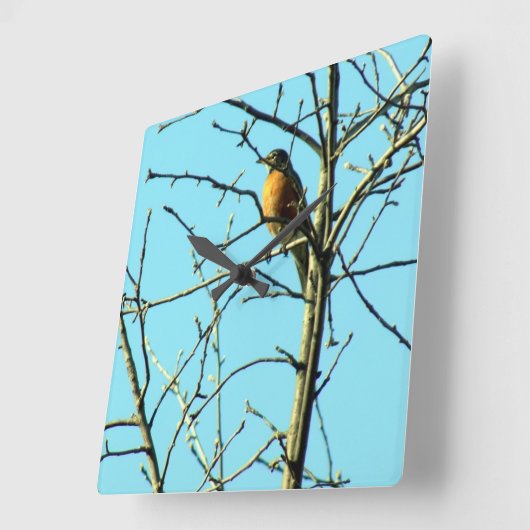 Spring Robin Vierkante Klok (Hoek)