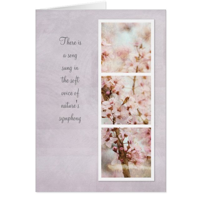 Spring Romance Cherry Blossom (Voorkant)