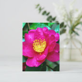 Spring roze briefkaart (Staand voorkant)