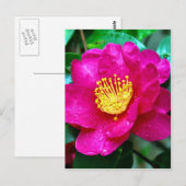 Spring roze briefkaart (Voorkant / Achterkant)