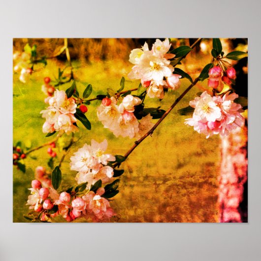 Spring roze en witte bloesems Abstract Poster (Voorkant)