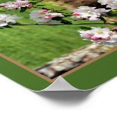 Spring roze en witte bloesems Abstract Poster (Hoek)