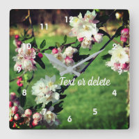 Spring roze en witte bloesems