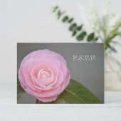 Spring roze RSVP kaartje (Staand voorkant)