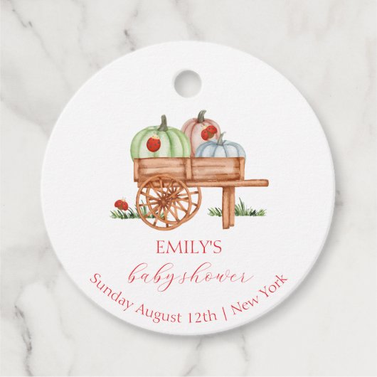 Spring Rustic Modern Pumpkin Labybug Baby shower Bedankjes Labels (Voorkant)